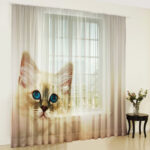 photocurtains with a kitten