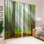 photocurtains forest in the fog