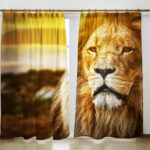 photocurtains with a lion