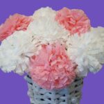 pink and white carnations