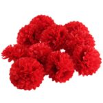 round red carnations