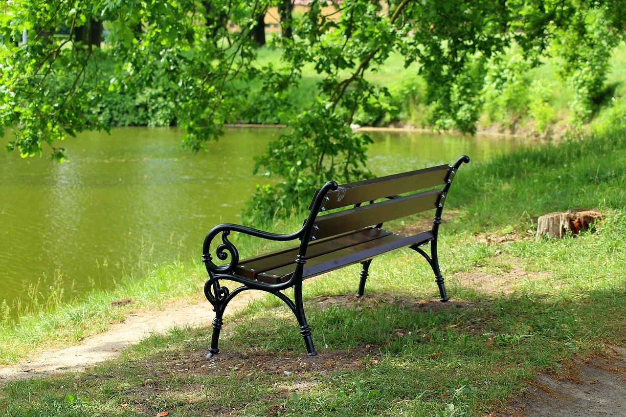 place for a bench