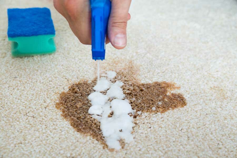 how to clean the carpet