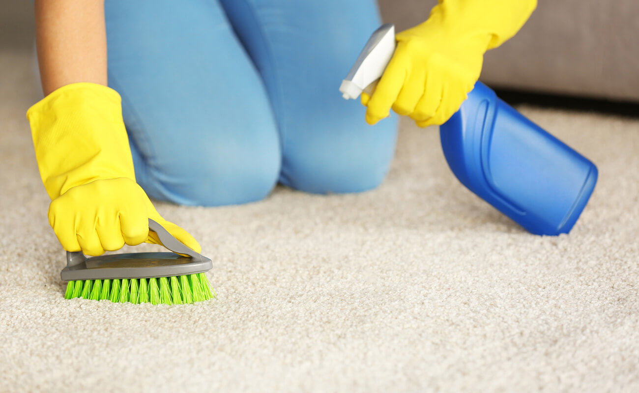 how to clean the carpet