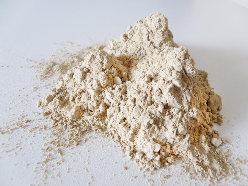 diatomaceous earth