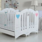 cribs for newborns photo ideas