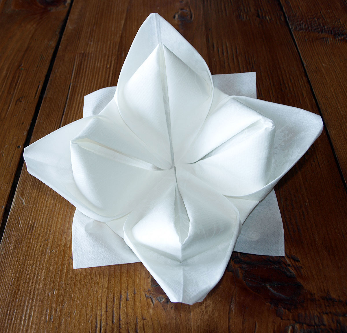 white napkin lily