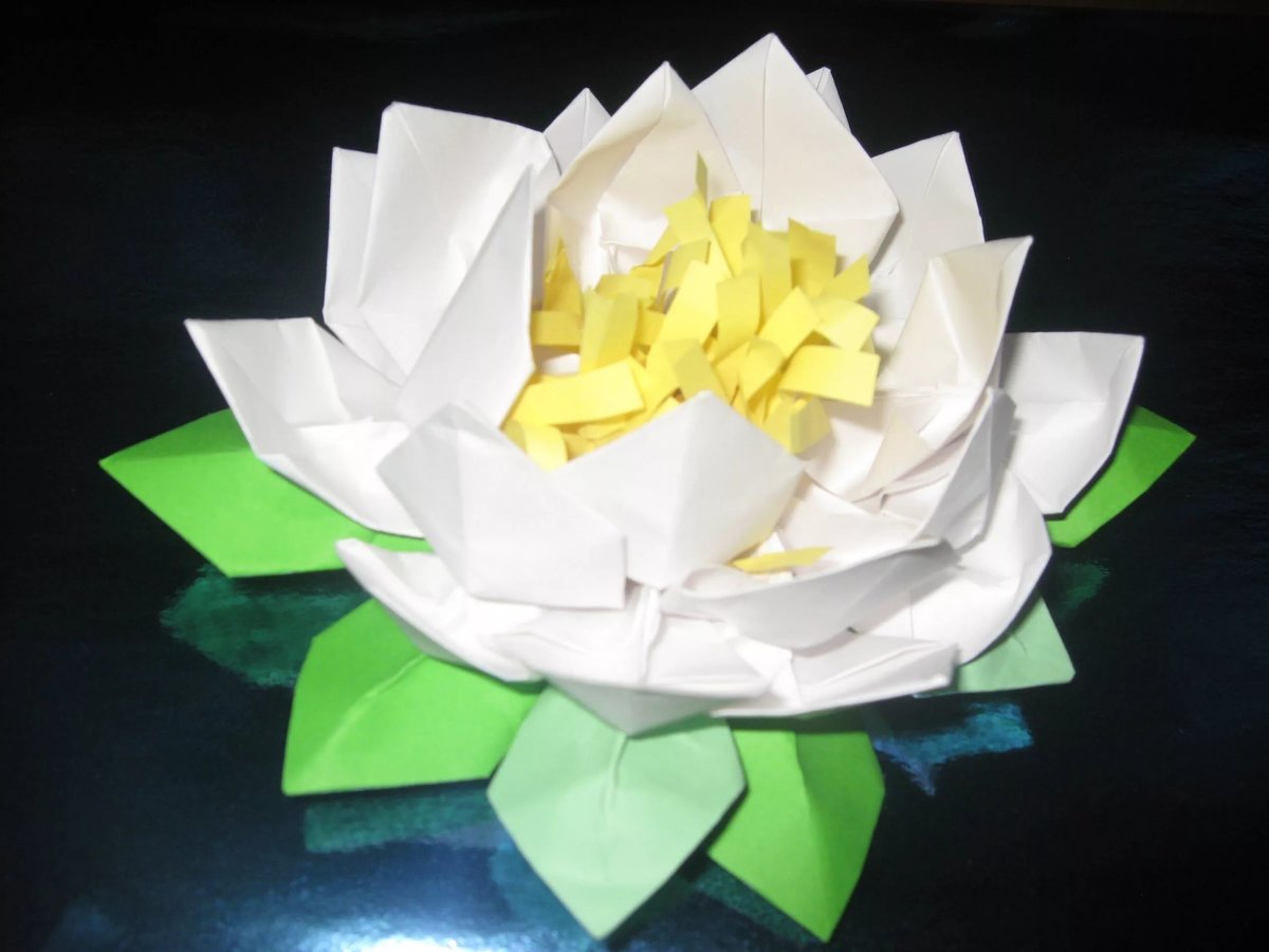 white lotus from napkins