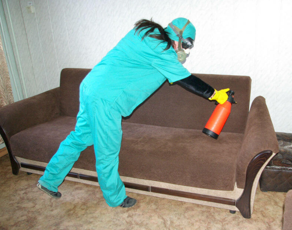 sofa treatment