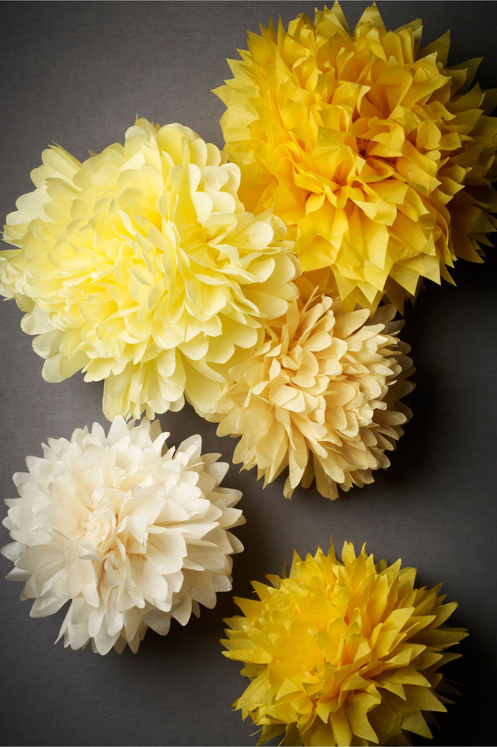 large paper dandelions