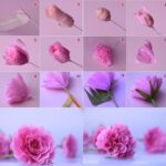 step by step making a carnation