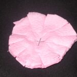 making a carnation