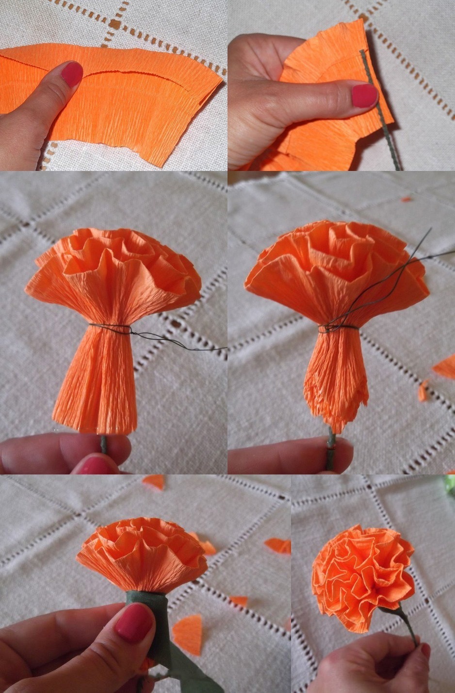 paper carnation