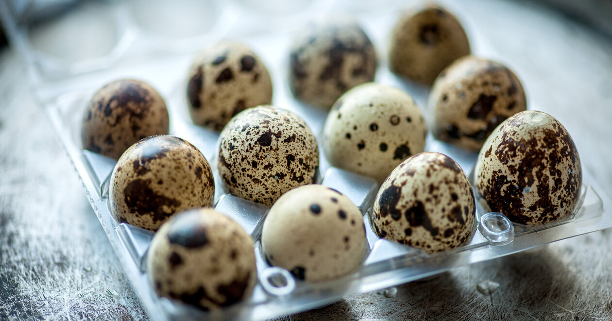 quail eggs