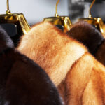 mink fur