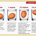 checking the freshness of the egg