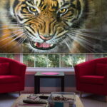 roller blinds photo design