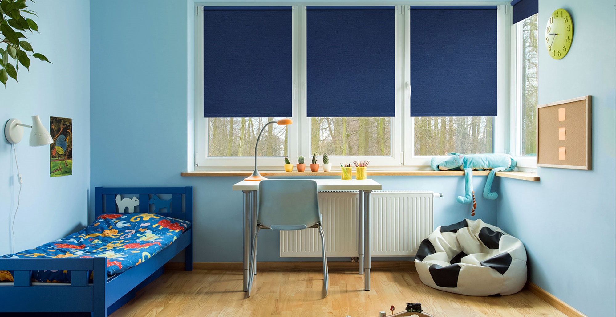 roller blinds for a boy