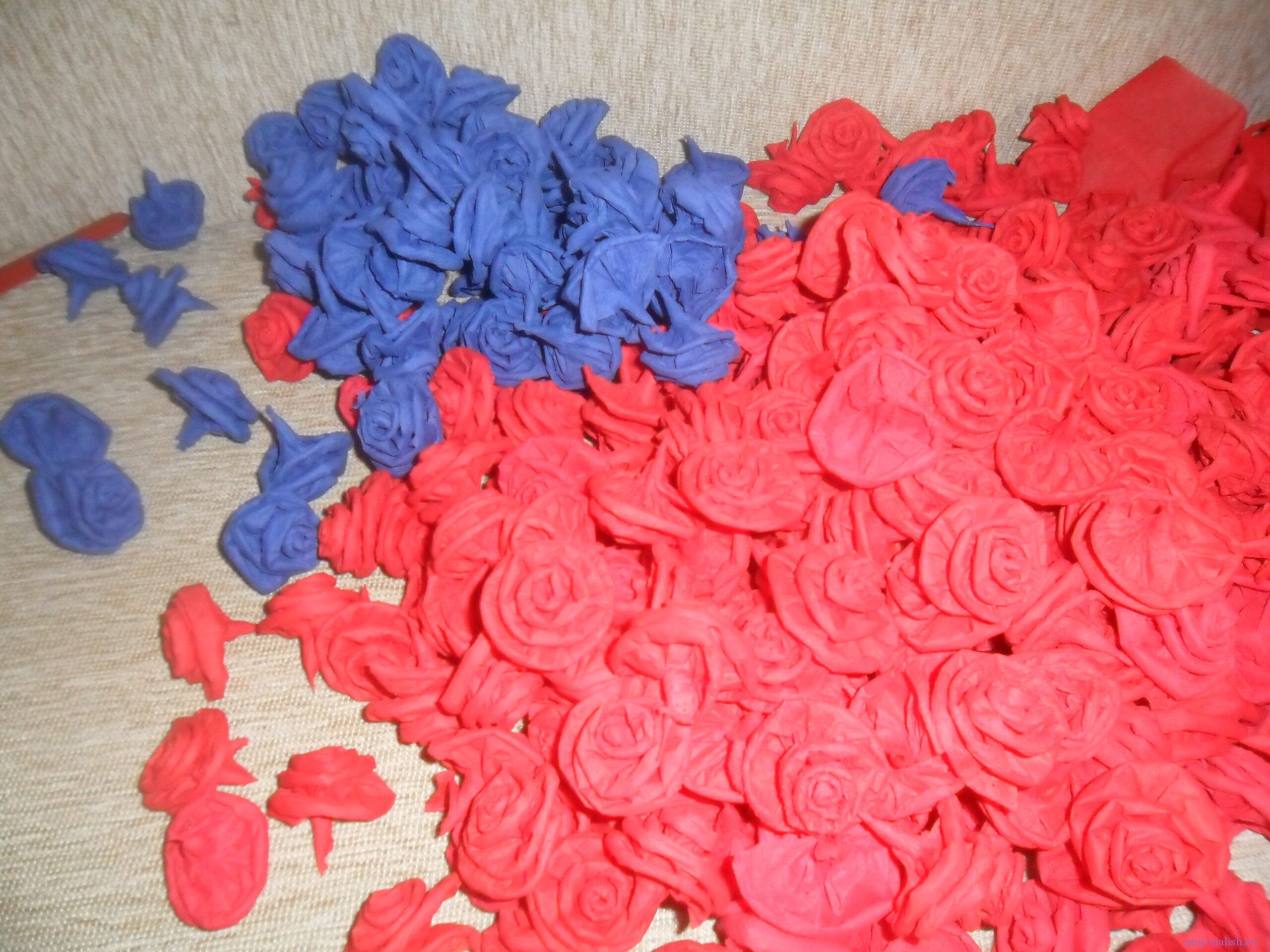 paper roses bicolor