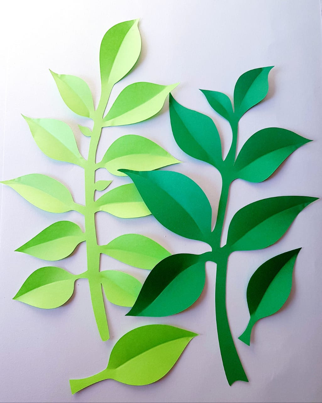 gluing leaves