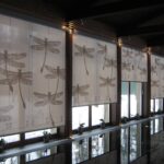 roller blinds with dragonflies