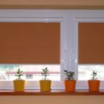 roller blinds brown