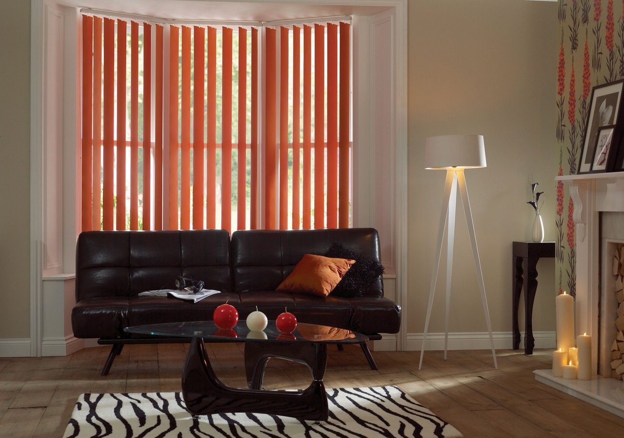 vertical blinds in the living room