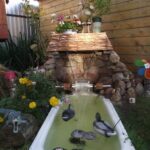 decorative waterfall with ducks