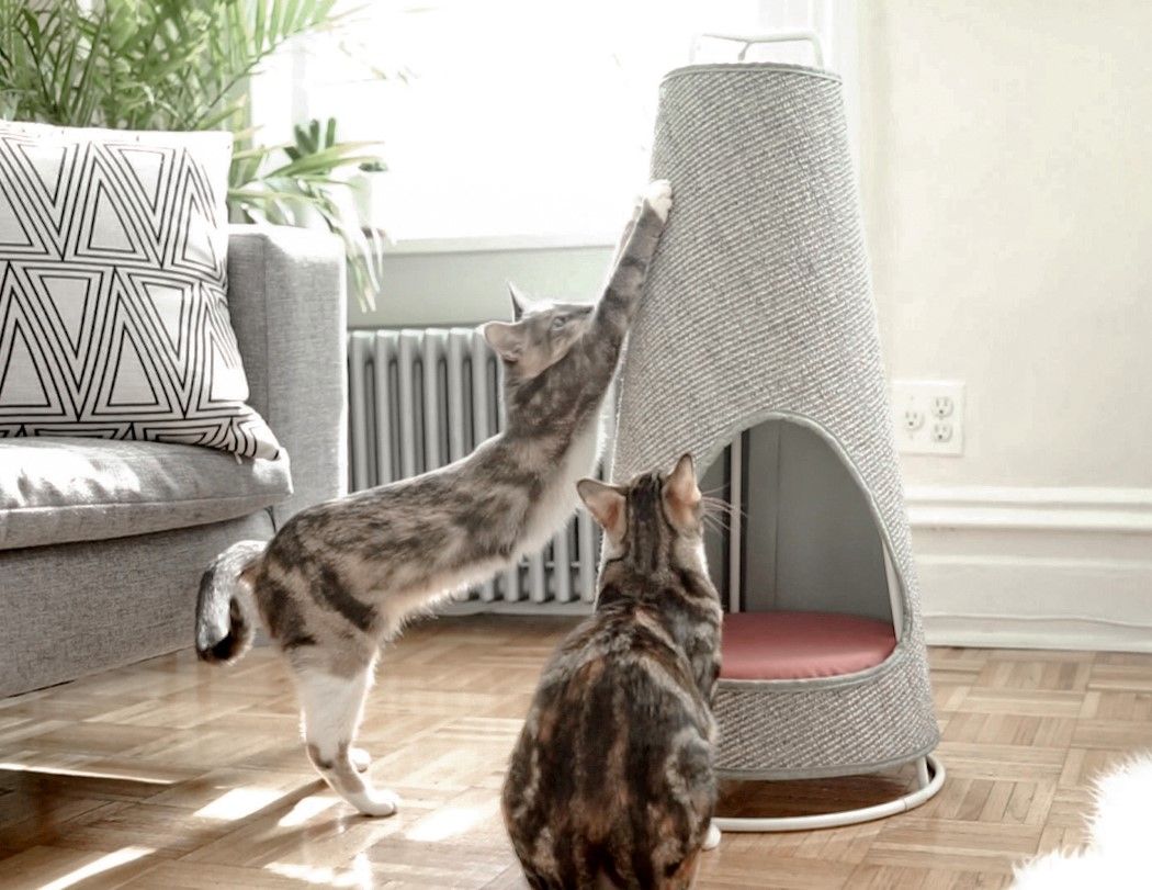 cat scratching post