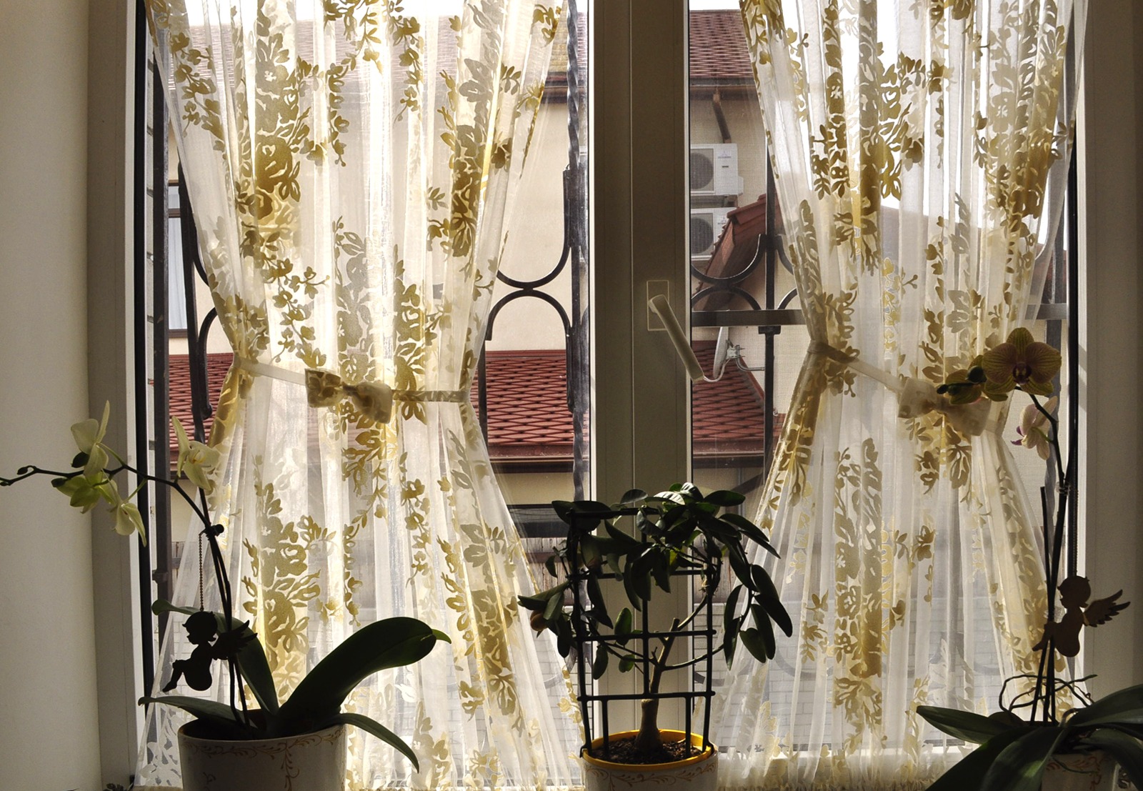 curtains cafe photo design