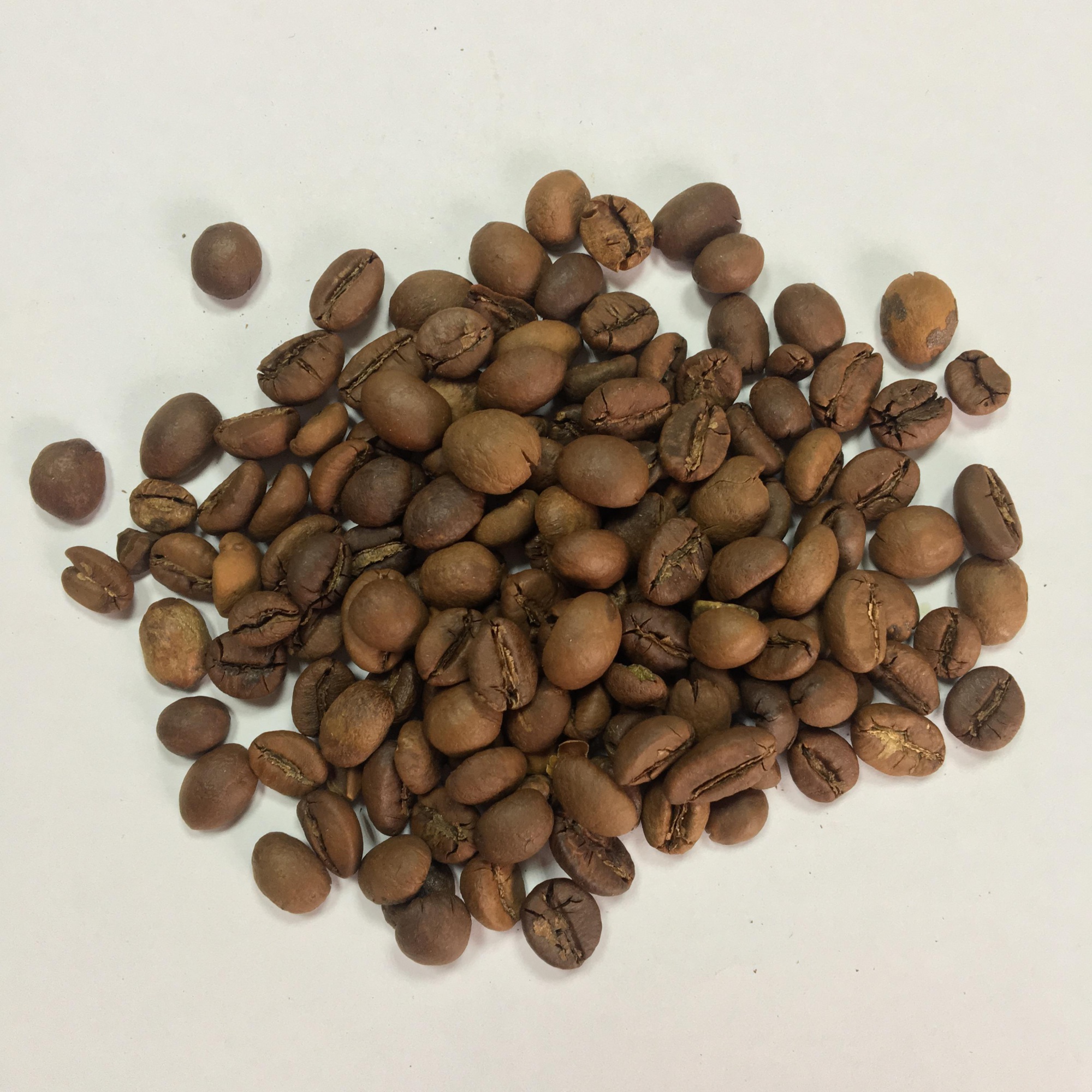 robusta kava