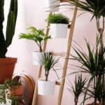 shelf ladder for flowers