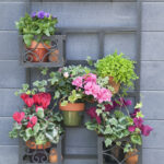 pots and shelves