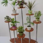 options pour différents supports pour plantes