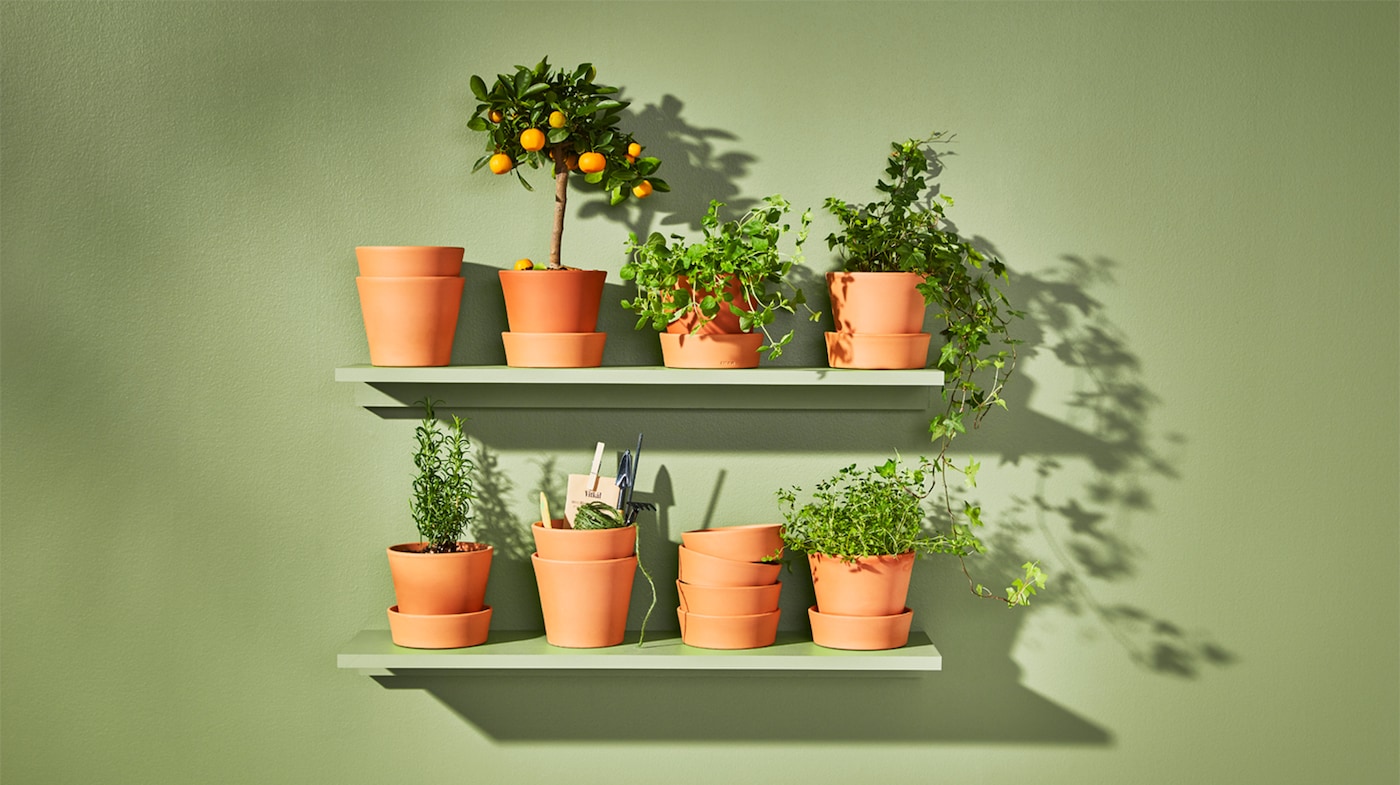 wall shelf for flowers