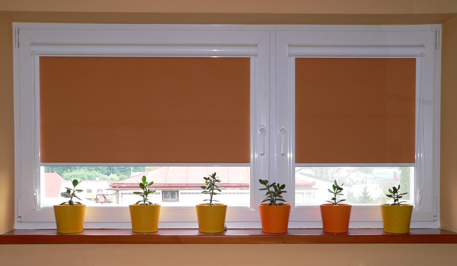 characteristic roller blind