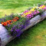 comment faire un parterre de fleurs avec une bûche